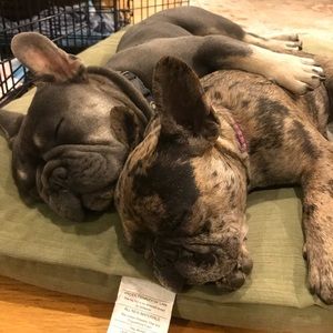 Meet your Posher, Grace